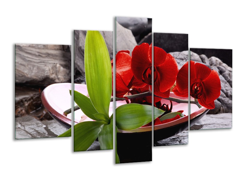 Canvas schilderij Orchidee | Rood, Groen, Grijs | 170x100cm 5Luik