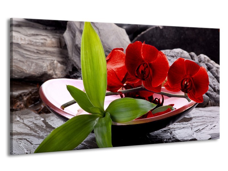 Canvas schilderij Orchidee | Rood, Groen, Grijs | 190x100cm 1Luik