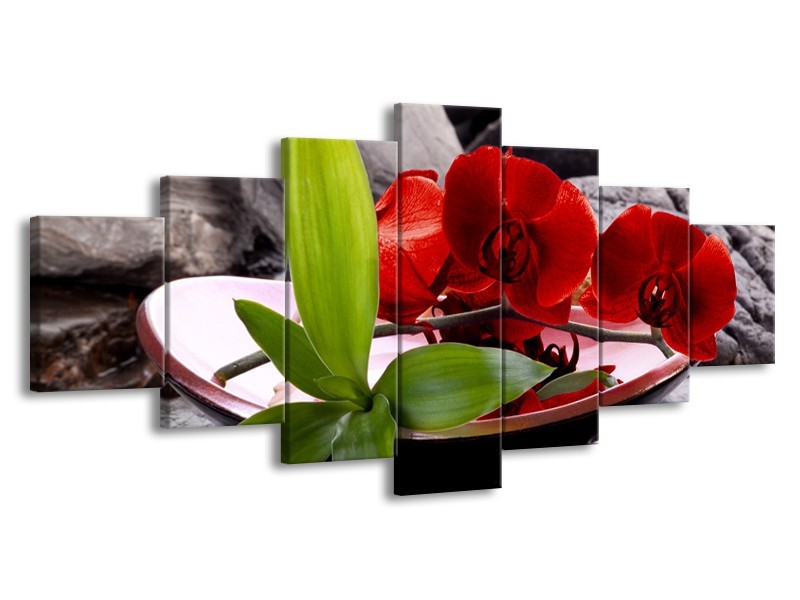 Canvas schilderij Orchidee | Rood, Groen, Grijs | 210x100cm 7Luik