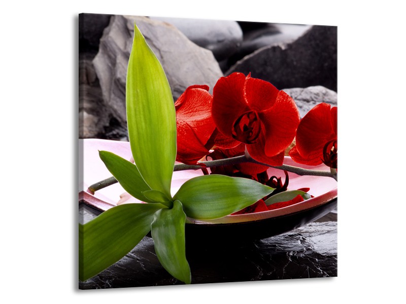 Canvas schilderij Orchidee | Rood, Groen, Grijs | 50x50cm 1Luik