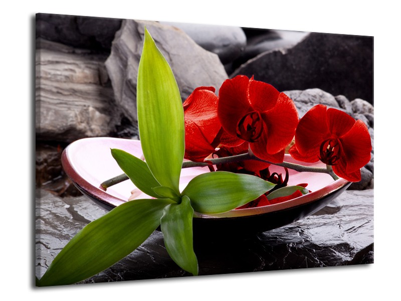 Canvas schilderij Orchidee | Rood, Groen, Grijs | 70x50cm 1Luik