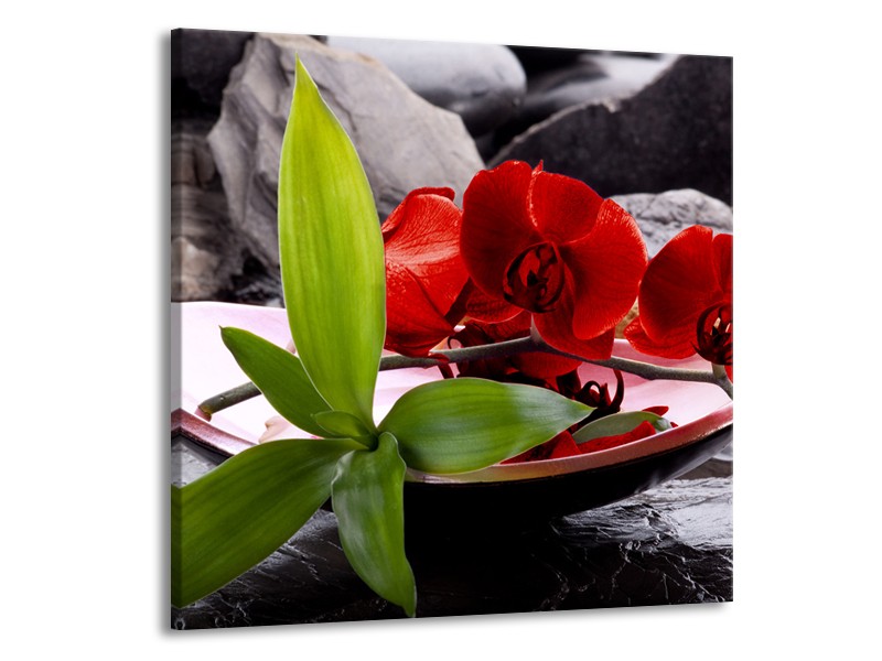 Canvas schilderij Orchidee | Rood, Groen, Grijs | 70x70cm 1Luik