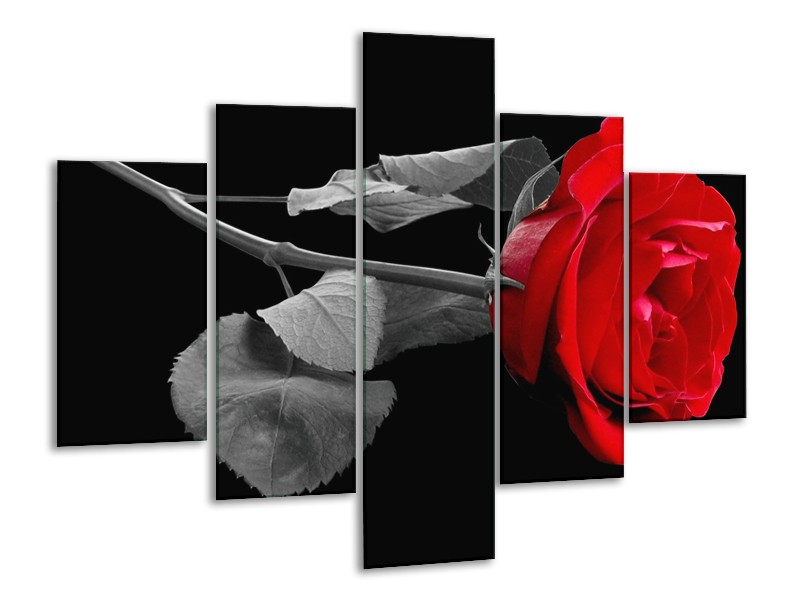 Canvas schilderij Roos | Rood, Zwart | 100x70cm 5Luik