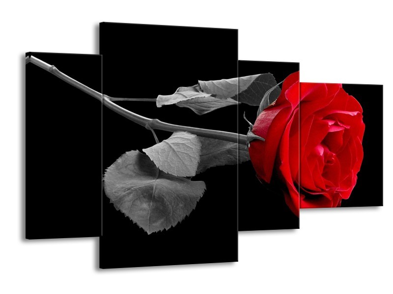 Canvas schilderij Roos | Rood, Zwart | 120x75cm 4Luik