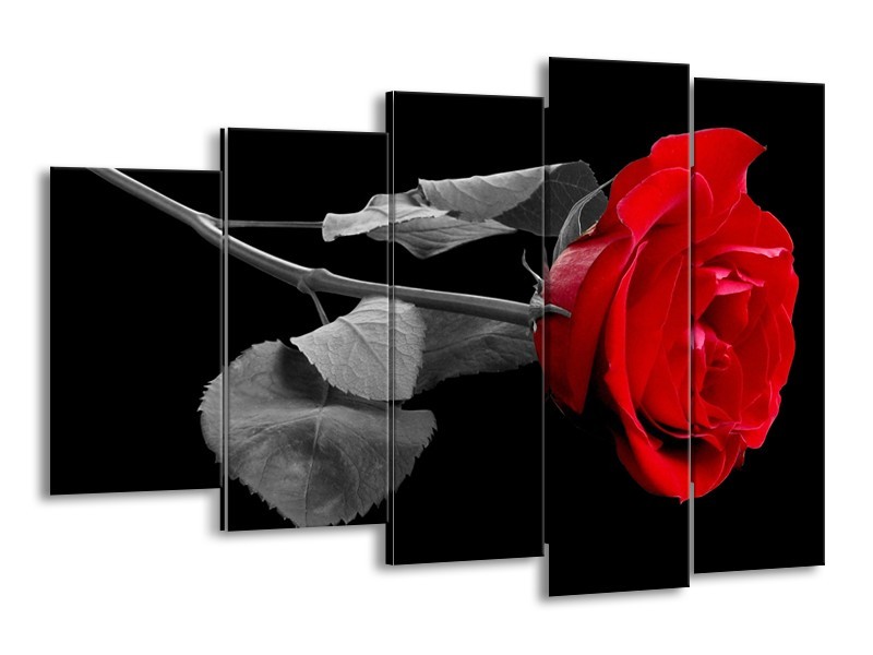 Canvas schilderij Roos | Rood, Zwart | 150x100cm 5Luik