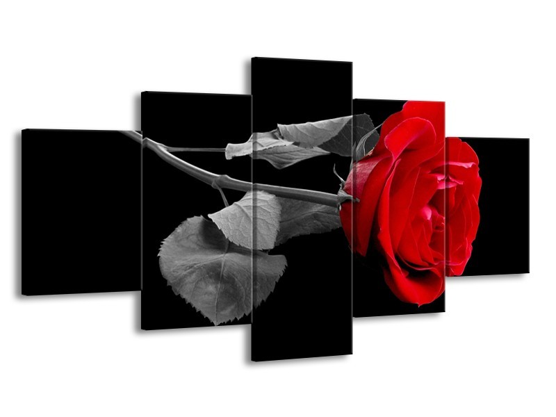 Canvas schilderij Roos | Rood, Zwart | 150x80cm 5Luik