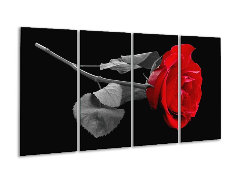 Canvas schilderij Roos | Rood, Zwart | 160x80cm 4Luik