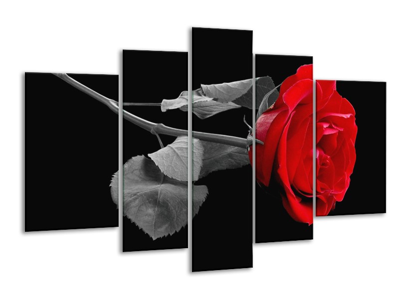 Canvas schilderij Roos | Rood, Zwart | 170x100cm 5Luik
