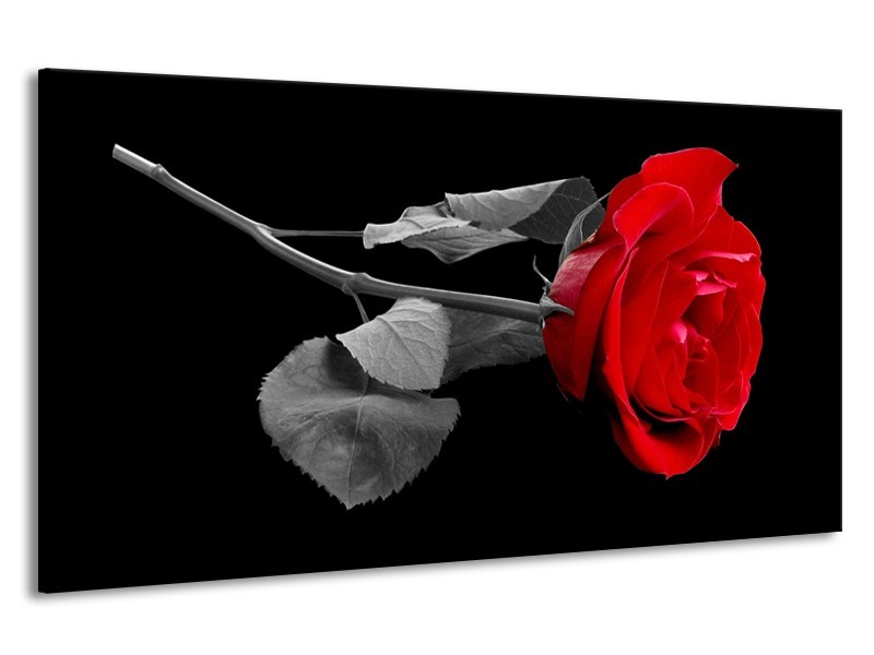 Canvas schilderij Roos | Rood, Zwart | 190x100cm 1Luik