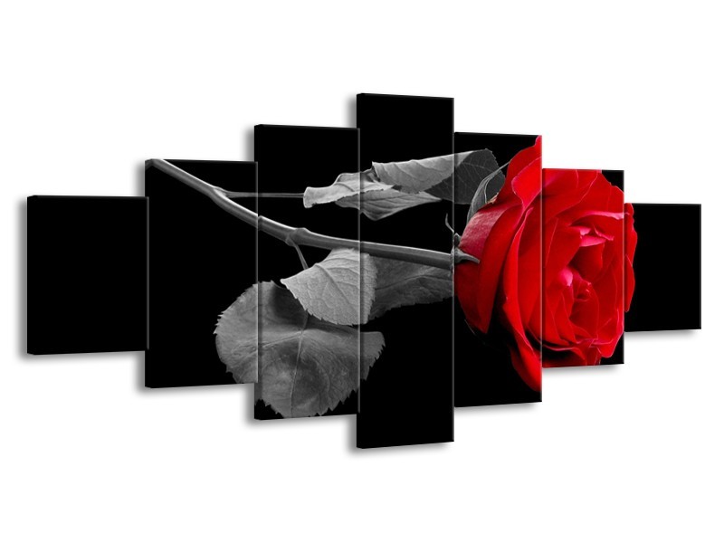 Canvas schilderij Roos | Rood, Zwart | 210x100cm 7Luik