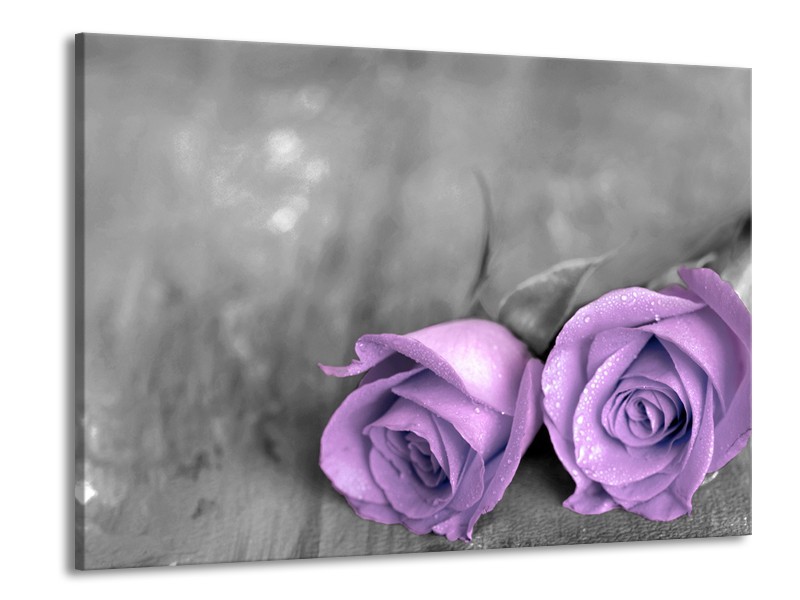 Canvas schilderij Roos | Paars, Grijs | 100x70cm 1Luik