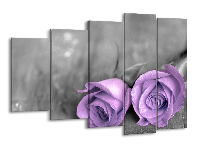 Canvas schilderij Roos | Paars, Grijs | 150x100cm 5Luik