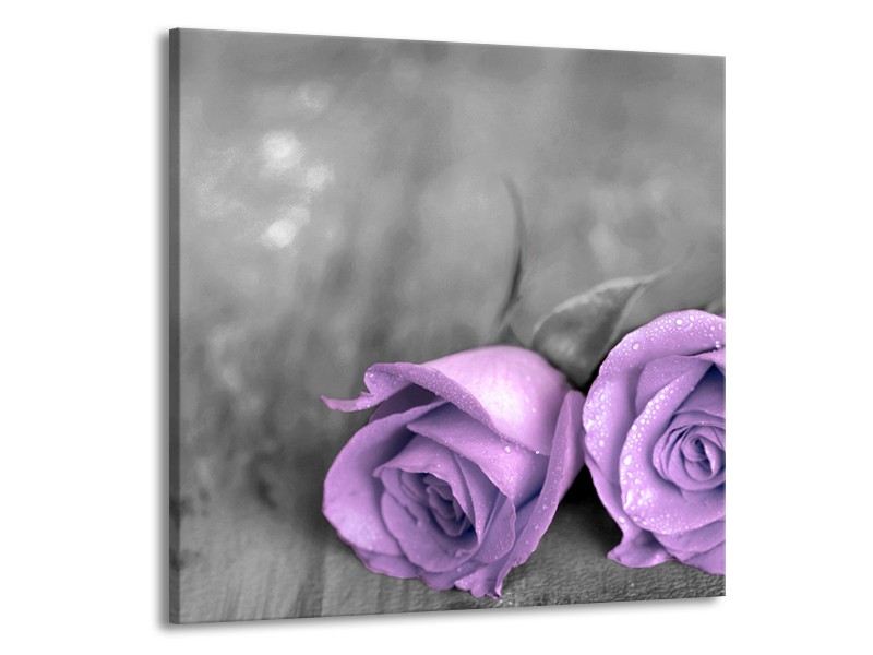 Canvas schilderij Roos | Paars, Grijs | 70x70cm 1Luik