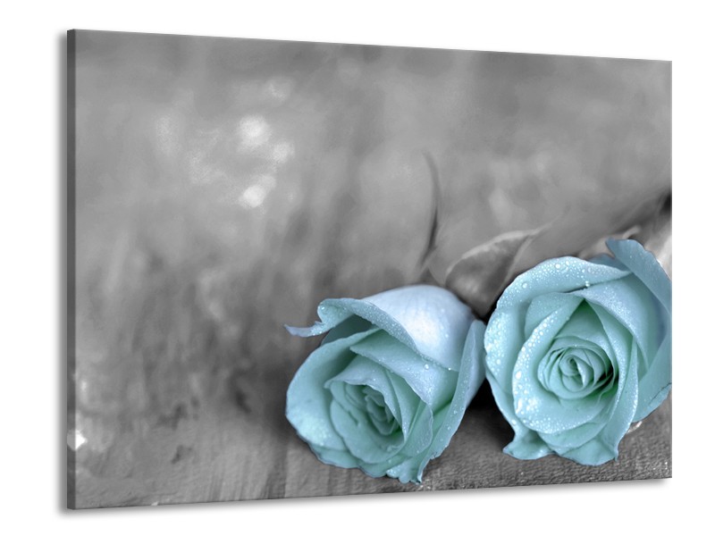 Canvas schilderij Roos | Blauw, Grijs | 100x70cm 1Luik