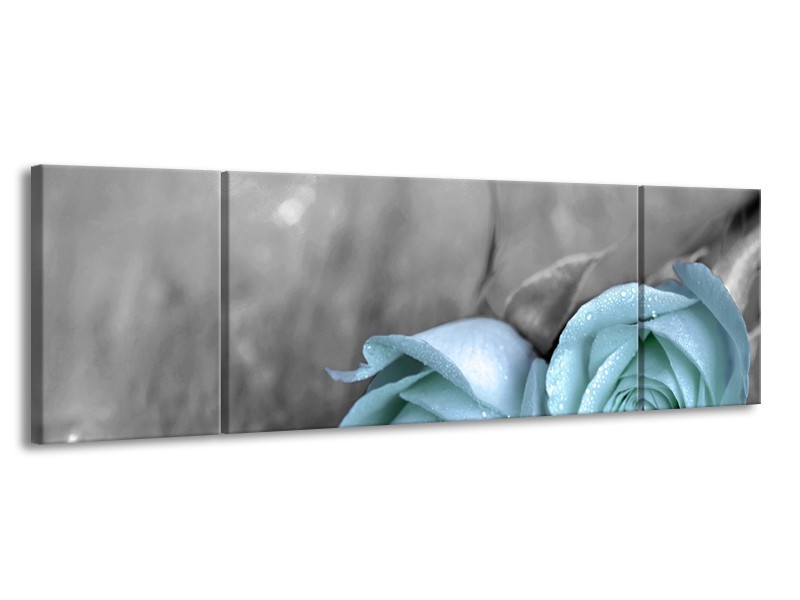 Canvas schilderij Roos | Blauw, Grijs | 170x50cm 3Luik