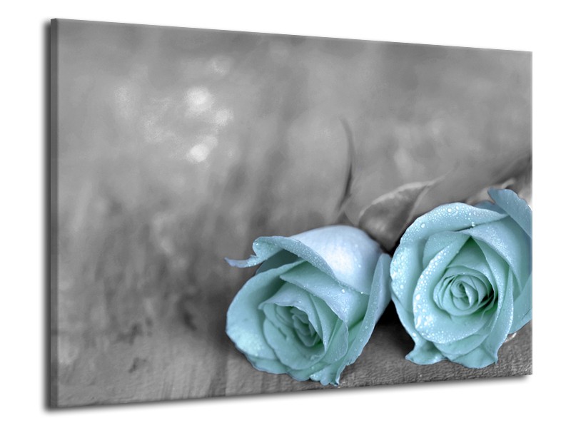 Canvas schilderij Roos | Blauw, Grijs | 70x50cm 1Luik