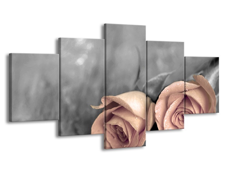 Canvas schilderij Roos | Bruin, Crème, Grijs | 150x80cm 5Luik