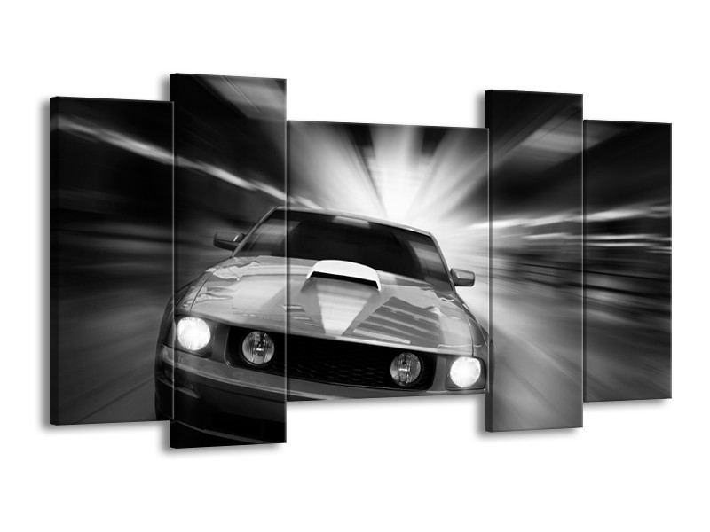 Glas schilderij Mustang | Zwart, Grijs | 120x65cm 5Luik