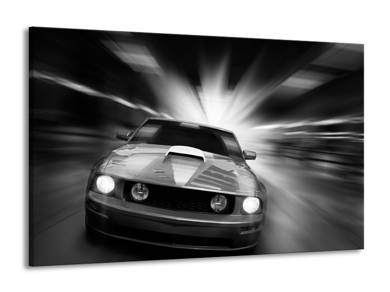 Glas schilderij Mustang | Zwart, Grijs | 140x90cm 1Luik