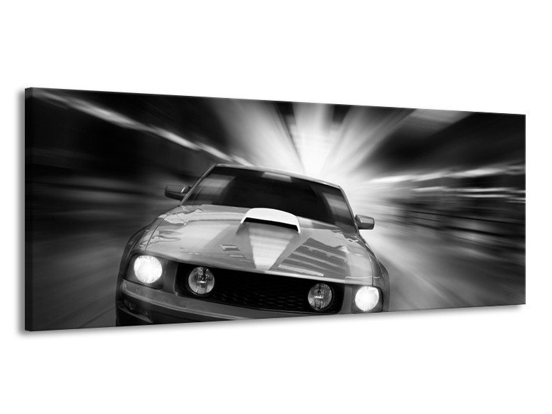 Glas schilderij Mustang | Zwart, Grijs | 145x58cm 1Luik