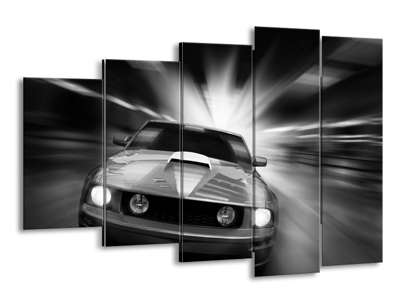 Glas schilderij Mustang | Zwart, Grijs | 150x100cm 5Luik