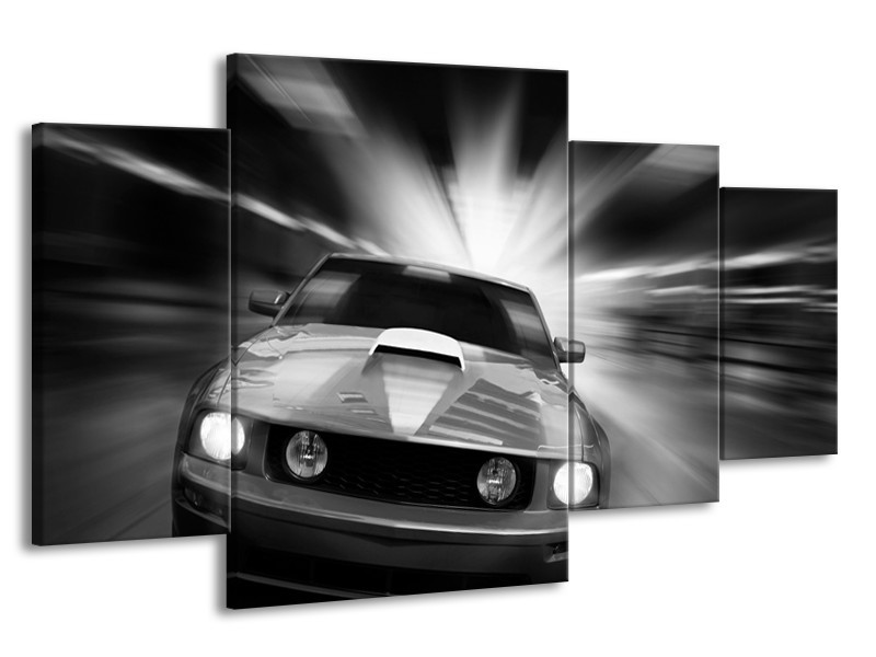 Glas schilderij Mustang | Zwart, Grijs | 160x90cm 4Luik