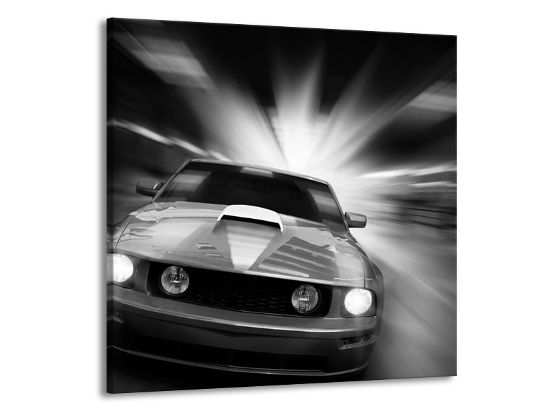 Glas schilderij Mustang | Zwart, Grijs | 50x50cm 1Luik