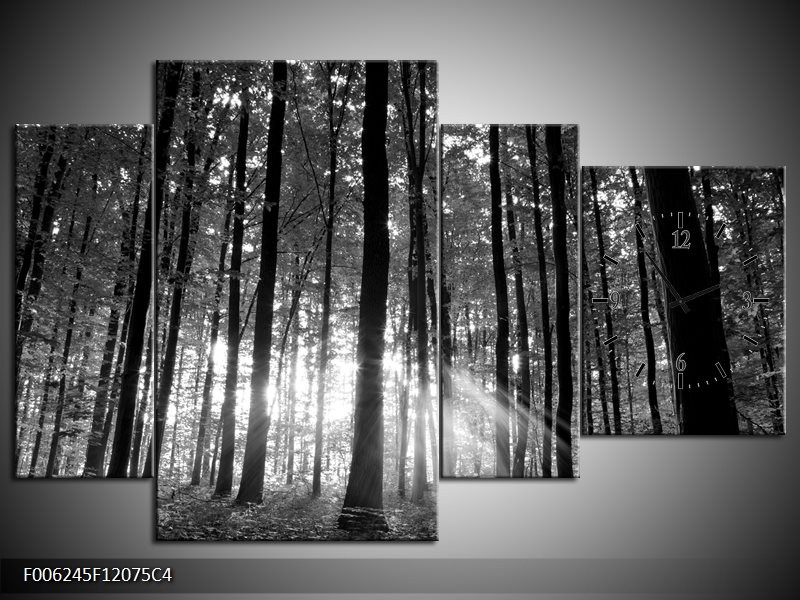 Klok schilderij Natuur | Grijs, Zwart, Wit | 120x75cm 4Luik