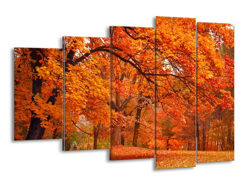 Canvas schilderij Herfst | Bruin, Oranje | 150x100cm 5Luik