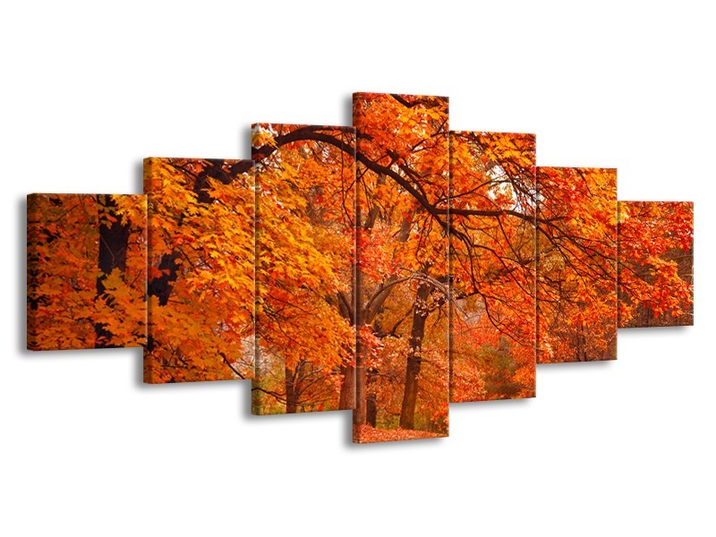 Canvas schilderij Herfst | Bruin, Oranje | 210x100cm 7Luik