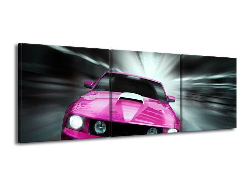 Canvas schilderij Mustang | Paars, Roze, Grijs | 150x50cm 3Luik