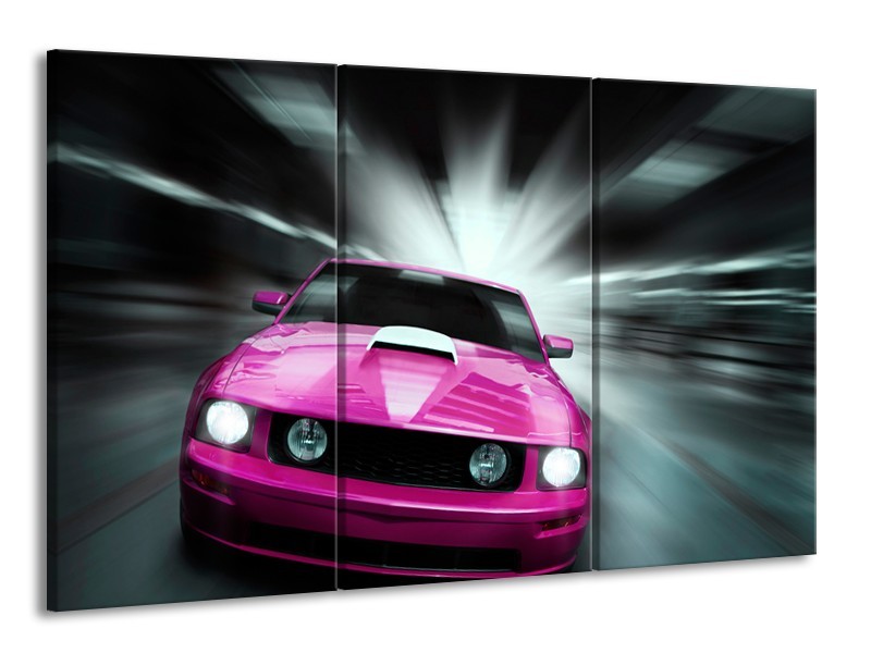 Glas schilderij Mustang | Paars, Roze, Grijs | 165x100cm 3Luik