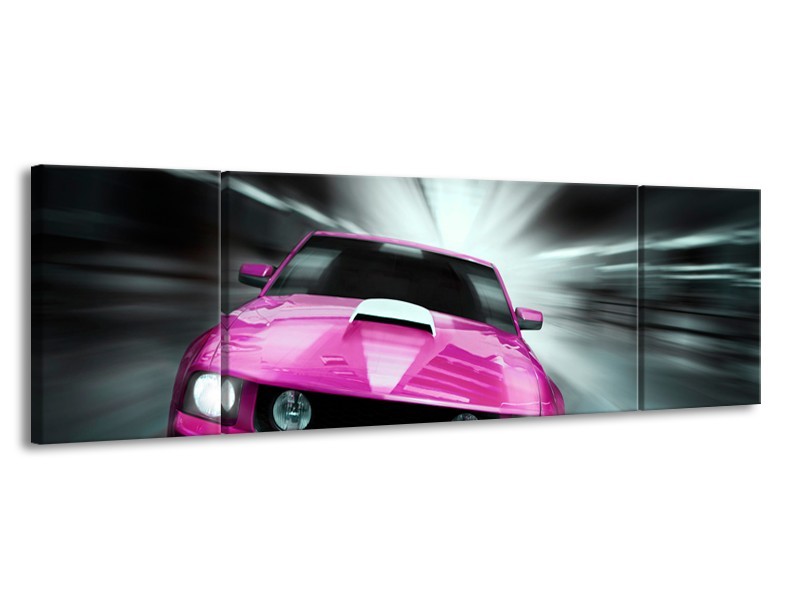 Glas schilderij Mustang | Paars, Roze, Grijs | 170x50cm 3Luik