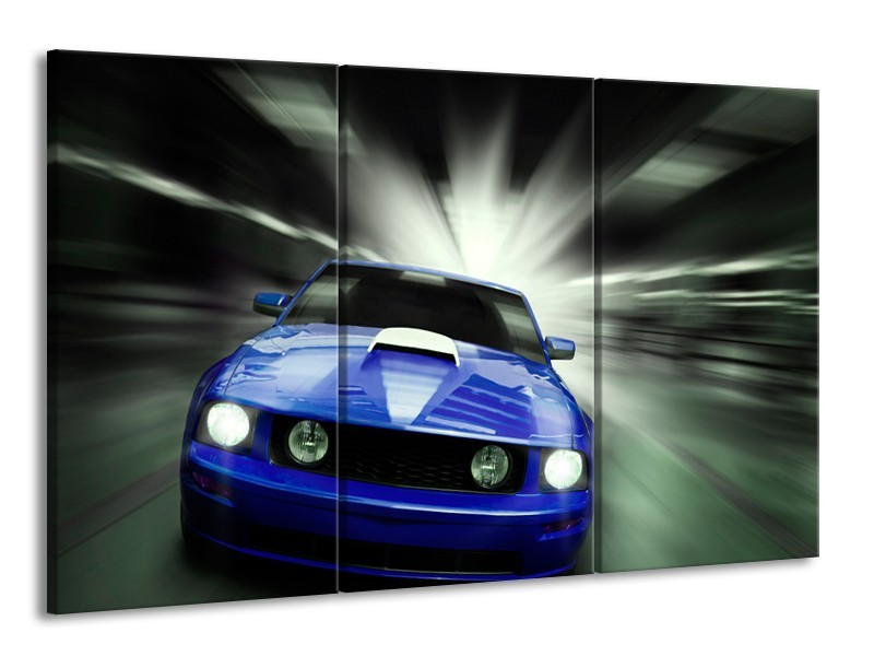Glas schilderij Mustang | Blauw, Grijs | 165x100cm 3Luik