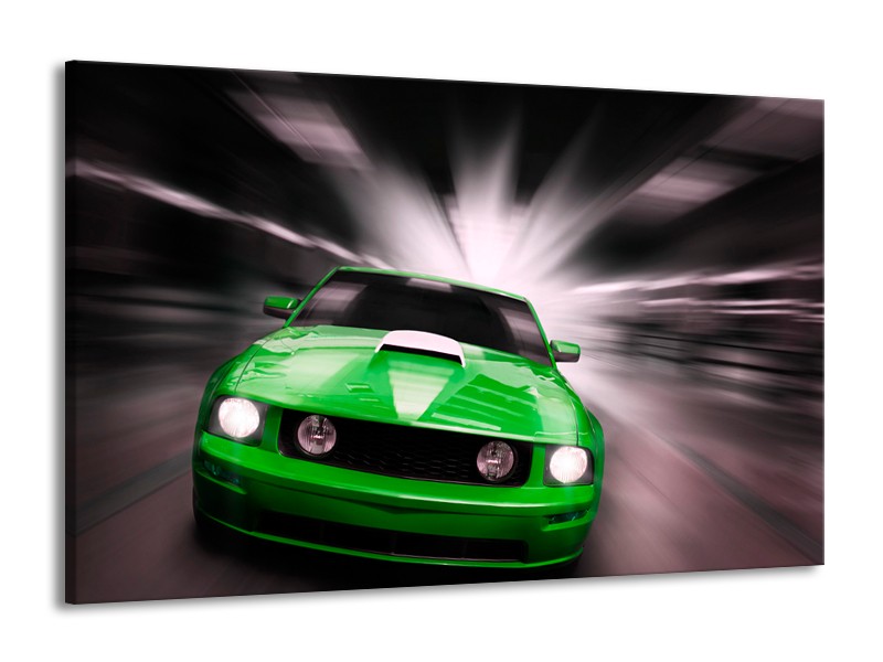Glas schilderij Mustang | Groen, Grijs | 140x90cm 1Luik