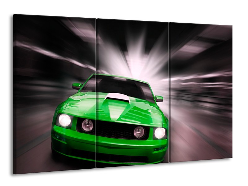 Glas schilderij Mustang | Groen, Grijs | 165x100cm 3Luik