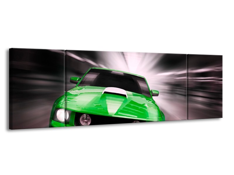 Glas schilderij Mustang | Groen, Grijs | 170x50cm 3Luik