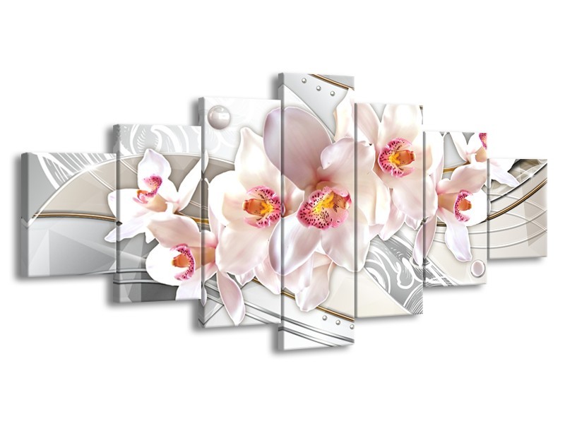 Glas schilderij Orchidee | Grijs, Roze | 210x100cm 7Luik