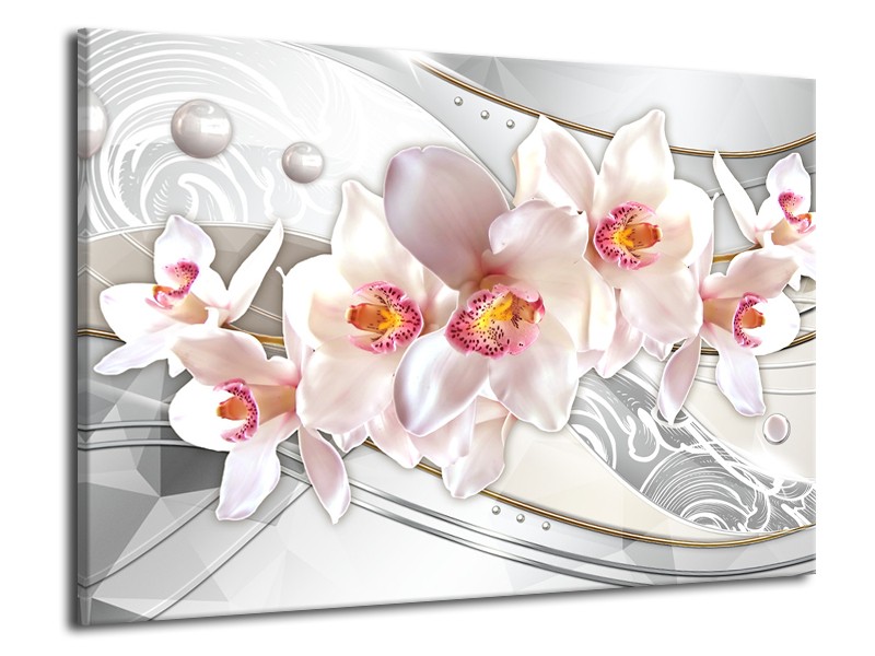 Glas schilderij Orchidee | Grijs, Roze | 70x50cm 1Luik