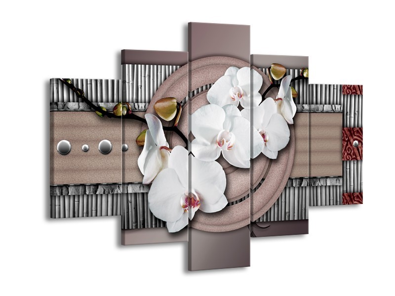 Canvas schilderij Orchidee | Bruin, Wit, Grijs | 150x105cm 5Luik