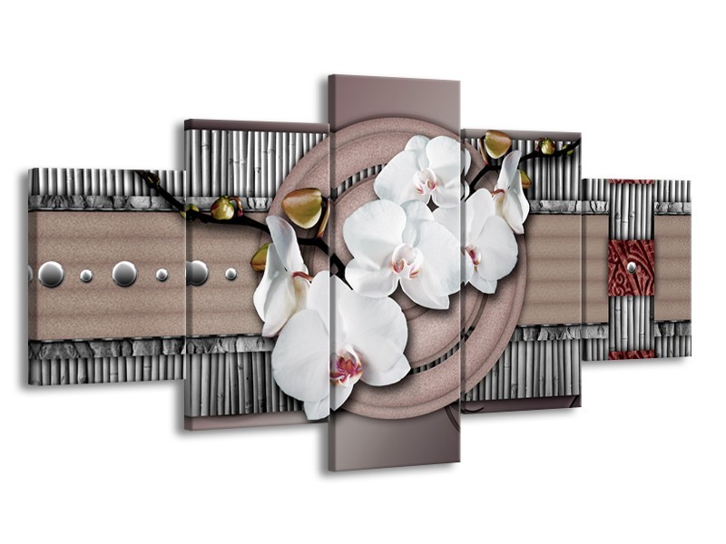 Glas schilderij Orchidee | Bruin, Wit, Grijs | 150x80cm 5Luik
