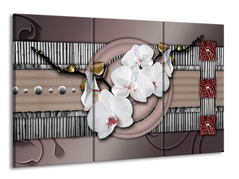 Glas schilderij Orchidee | Bruin, Wit, Grijs | 165x100cm 3Luik