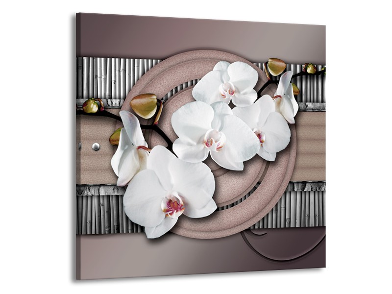 Canvas schilderij Orchidee | Bruin, Wit, Grijs | 50x50cm 1Luik