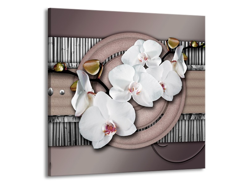 Canvas schilderij Orchidee | Bruin, Wit, Grijs | 70x70cm 1Luik