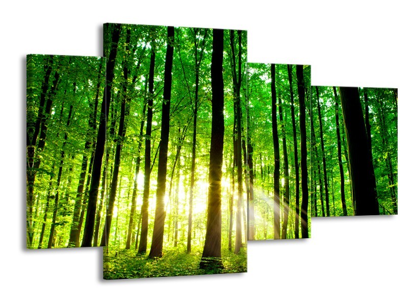 Glas schilderij Natuur | Groen, Geel | 120x75cm 4Luik