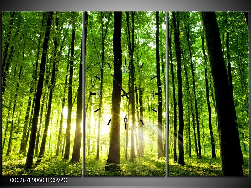 Klok schilderij Natuur | Groen, Geel | 90x60cm 3Luik