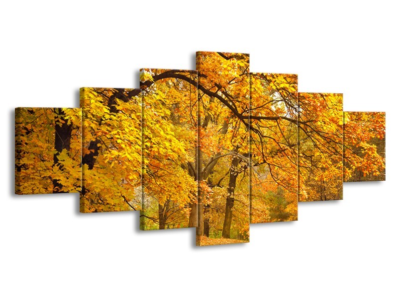Glas schilderij Herfst | Bruin, Oranje | 210x100cm 7Luik