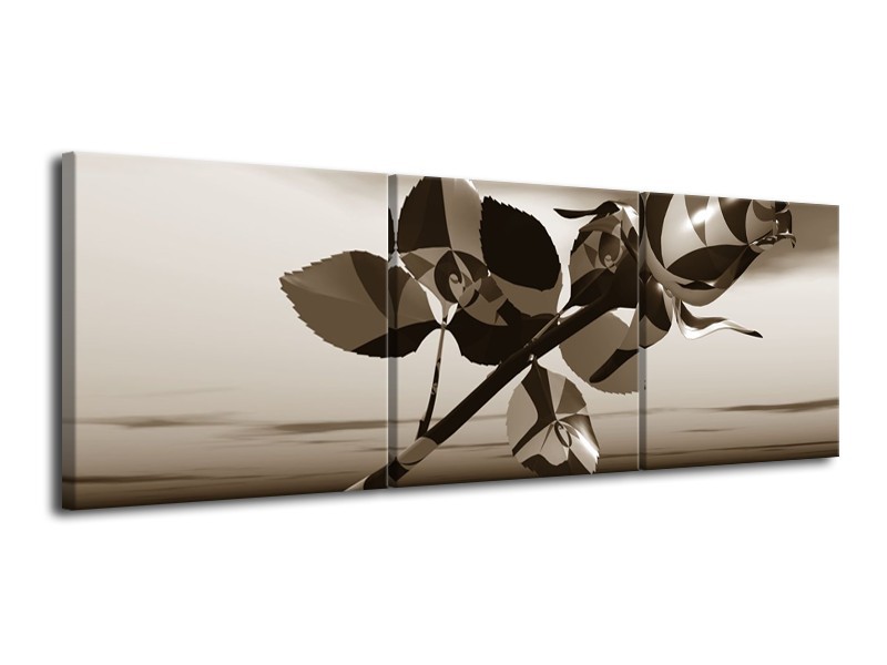 Glasschilderij Bloem, Roos | Sepia | 120x40cm 3Luik