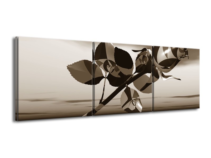 Glasschilderij Bloem, Roos | Sepia | 150x50cm 3Luik