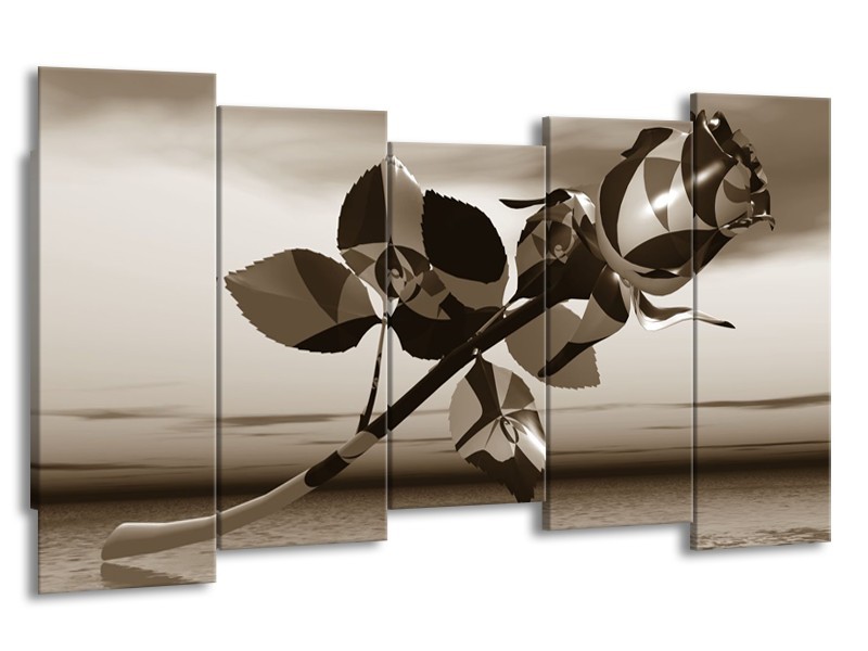 Glasschilderij Bloem, Roos | Sepia | 150x80cm 5Luik